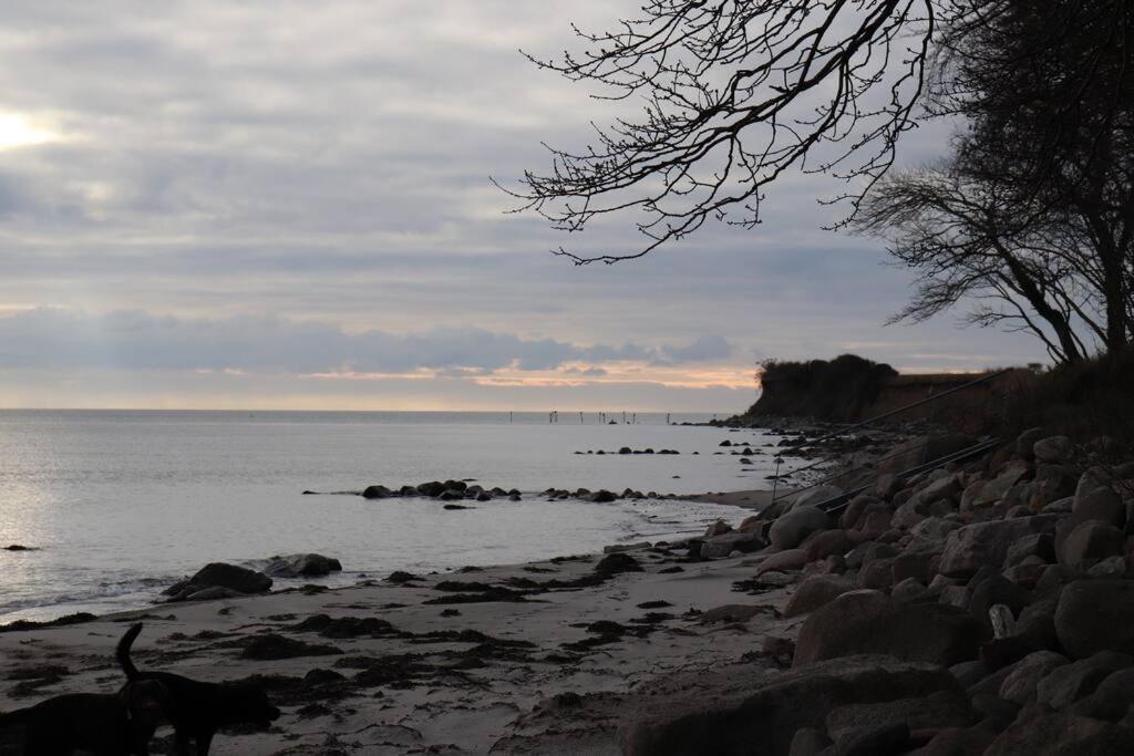 Ferienwohnung Fleckeby Schlei Fjord Light Exteriör bild